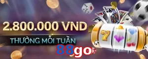 88go